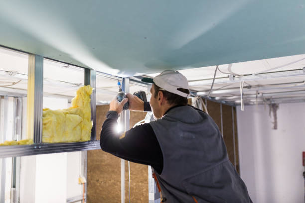 Best DIY Insulation Kits and Guidance in Montgomery, GA