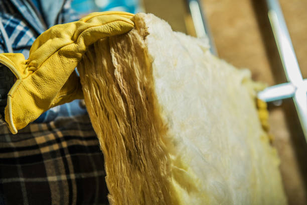 Best Residential Insulation in Montgomery, GA