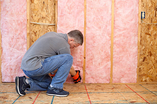Best Eco-Friendly Insulation in Montgomery, GA